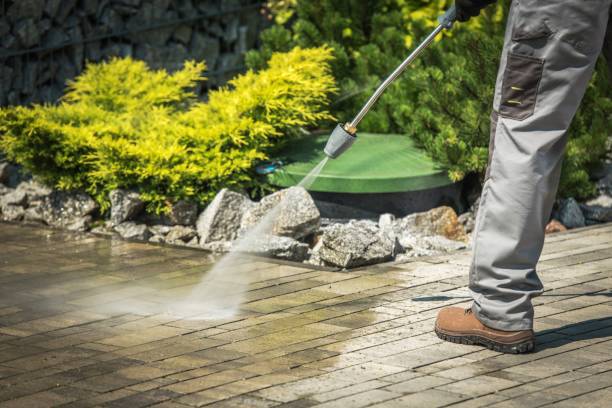 Best Spring Cleaning  in Coventry Lake, CT
